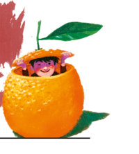 Auf dem Foto sieht man wie ein Junge aus einer Orange schaut. | © SONNENTOR