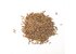 In the photo you can see cumin whole.