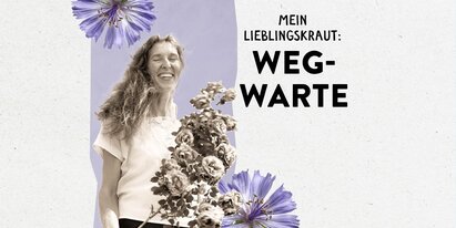 Das Bild zeigt Maria Schmidt zwischen Wegwarten und den Schriftzug "Mein Lieblingskraut: Wegwarte" | © SONNENTOR