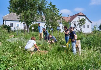 Gäste erkunden den Permakultur-Garten | © SONNENTOR/@nudlholz.at