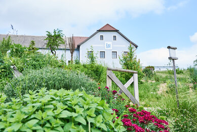 Vorderansicht des Bio-Bauernhofs Frei-Hof mit blühendem Permakultur-Garten | © SONNENTOR/@nudlholz.at