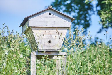 Bienenwiege im Permakultur-Garten des Frei-Hof's | © SONNENTOR/@nudlholz.at