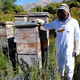 Imker mit Bienenstoecken | © SONNENTOR