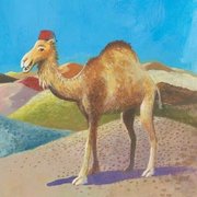 Illustration, auf der ein Kamel mit orientalischem Hut zu sehen ist | © SONNENTOR