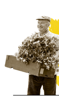 Black and white photo of farmer Kainz with a box filled with fresh herbs. In the background there is yellow color. | © SONNENTOR