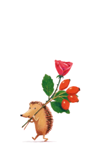 Illustration von einem Igel, der eine Rose und Hagebutten trägt. | © SONNENTOR