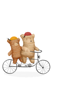Illustration of two ginger tubers in the shape of bears. The ginger bears are riding a bike. | © SONNENTOR