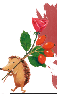 Illustration of a hedgehog with rose hips and a rose. | © SONNENTOR