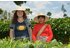 Foto, auf dem eine SONNENTOR Mitarbeiterin mit einer einheimischen Anbaupartnerin für den SONNENTOR 00224 Chinesischer Grüntee lose zu sehen ist. Sie stehen inmitten der Teepflanzen.