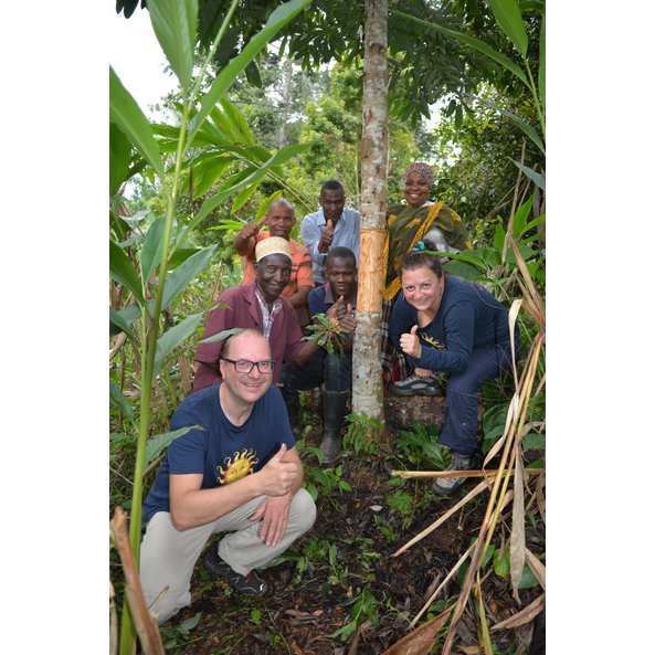 The photo shows several people standing around a cinnamon tree.