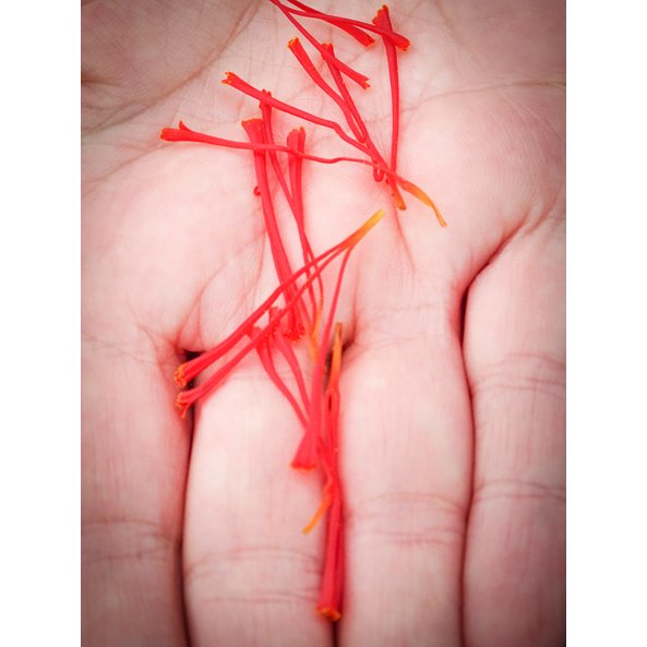 Photo of the red saffron threads.