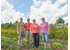 Auf dem Foto sind vier Bauern und Bäuerinnen auf einem Feld zu sehen.