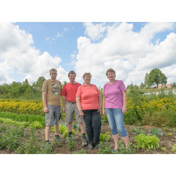 The photo shows four farmers in a field.