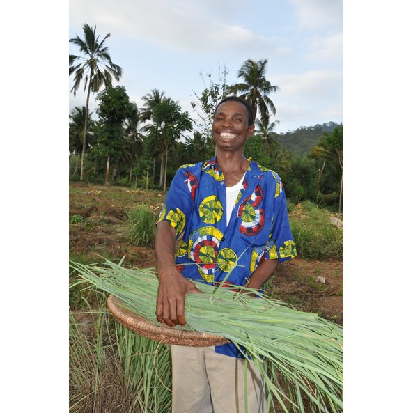 The photo shows a man holding a basket full of lemongrass in his hands.