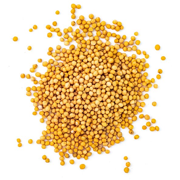 In the photo you can see yellow mustard seeds.