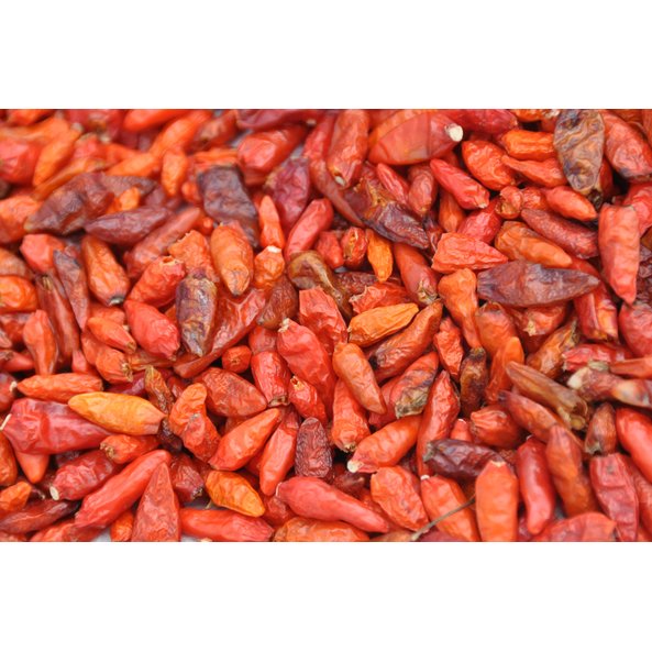 Ein Foto von vielen getrockneten Chilis. 
