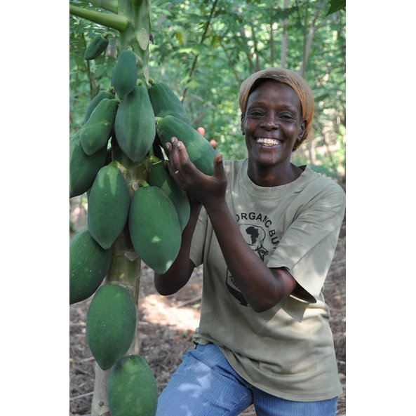 Auf dem Foto ist eine Frau neben einem Kakaobaum zu sehen.