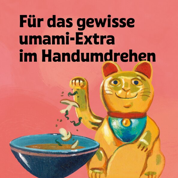 Illustration of a waving cat with a bowl on a pink background and the words: ‘For that extra umami kick in no time at all’. | © SONNENTOR