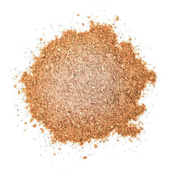 pumpkin_spice_WEBSITE.jpg