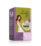 Chai Spice Dream Tea bio double chamber bag