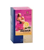 Ingwer-Zitrone Tee bio Einkammerbeutel
