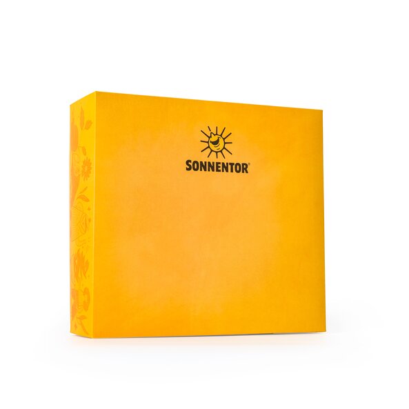 Geschenkkarton leer Freude, M 31,5x28,5x9 cm