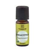 Eucalyptus essential oil bio
