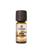 Mutmacher ätherisches Öl bio