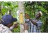 The photo shows two men using knives to loosen the bark from the cinnamon tree.