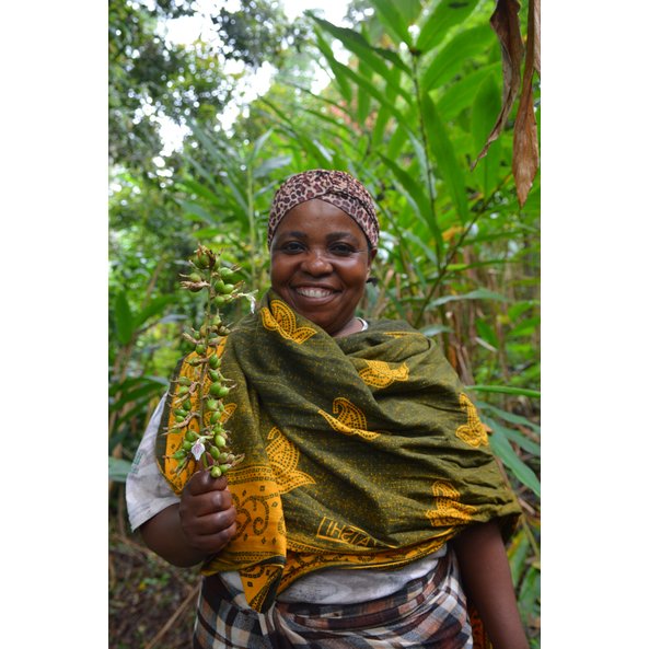 A photo of a woman holding a cardamom plant in her hand.