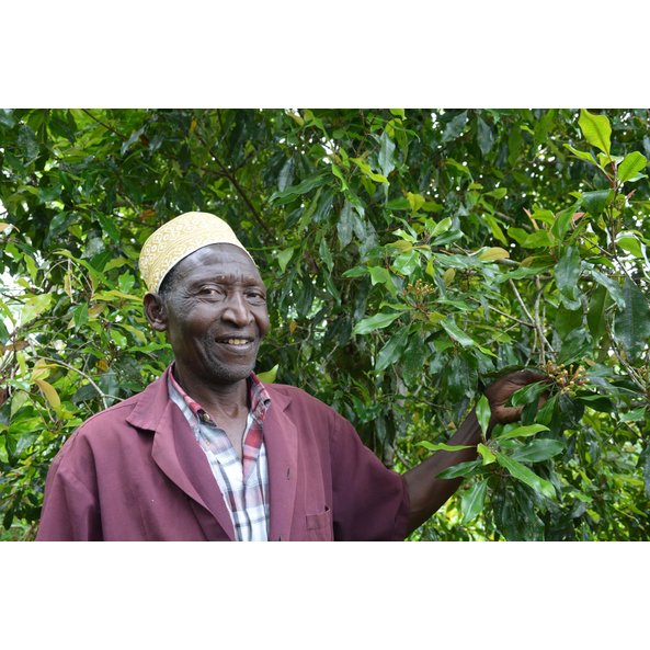 A photo of a man standing next to a cloves tree.