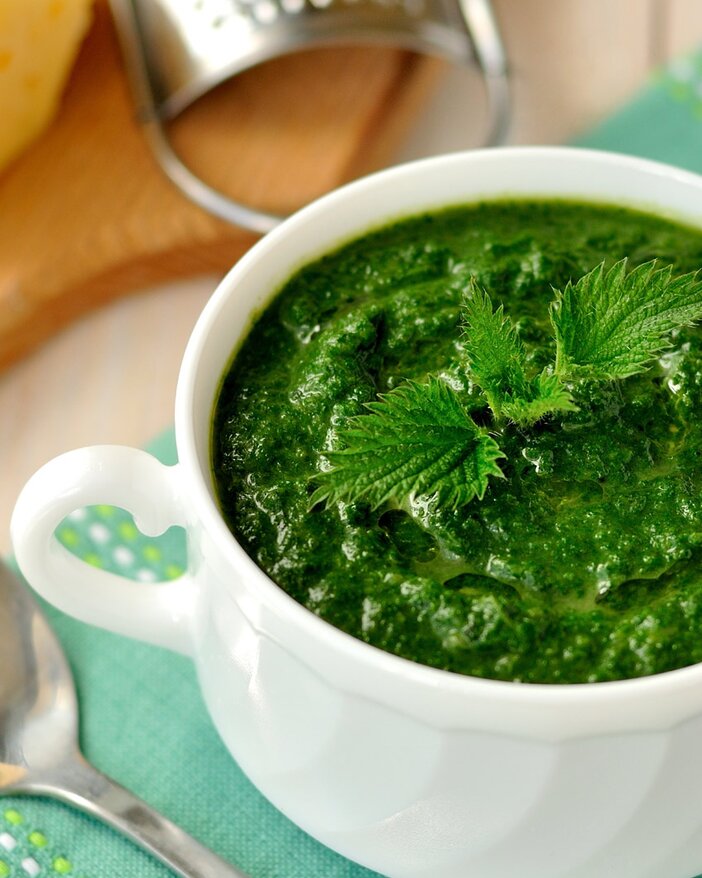 Brennnessel Pesto - SONNENTOR.com