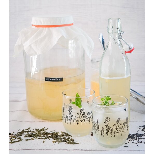 Kombucha