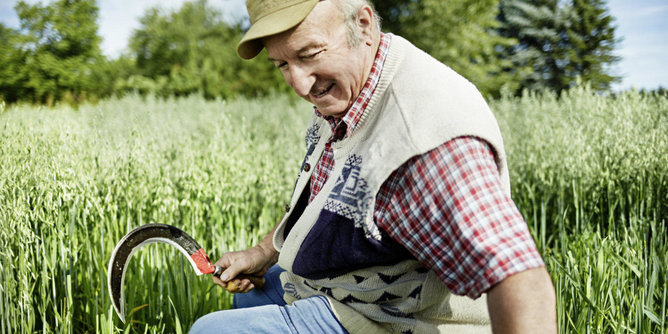 Auf dem Foto sieht man einen Bauer beim Arbeiten auf dem Feld. | © SONNENTOR