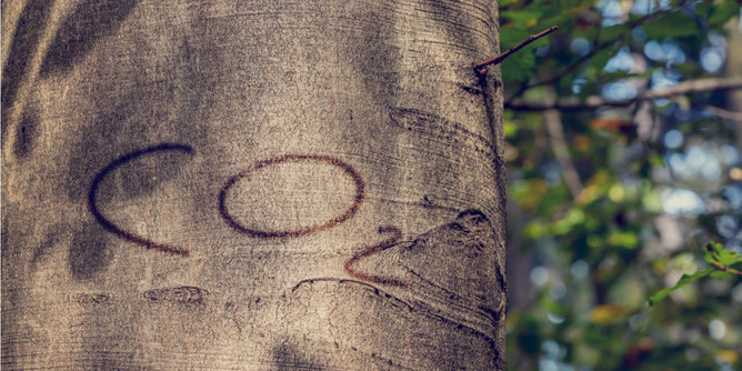 In the photo you can see a tree trunk with CO2 on it. | © SONNENTOR