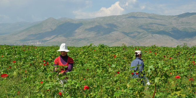 The photo shows two farmers in a field in Albania. | © SONNENTOR