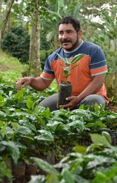 Auf dem Foto ist Kaffeebauer Juan mit Kaffeepflanzen zu sehen. | © SONNENTOR
