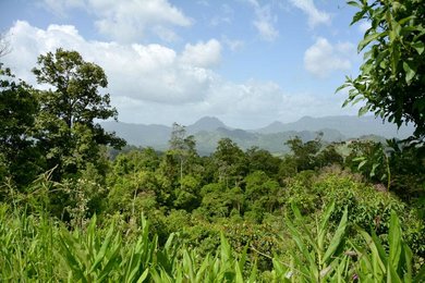 Auf dem Foto ist die Landschaft von Nicaragua zu sehen. | © SONNENTOR