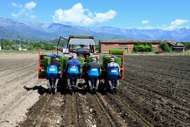 Seit 1993 entsteht auf der Finca La Mesa aus sonnengereiften Früchten hochwertiges Paprikapulver  | © SONNENTOR
