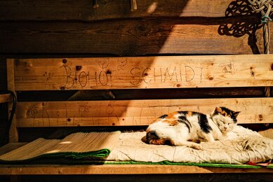 Idylle am Biohof | © SONNENTOR
