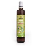 Černý bez květ sirup bio láhev