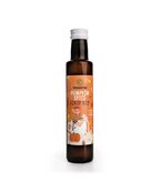 Pumpkin spice sirup bio láhev