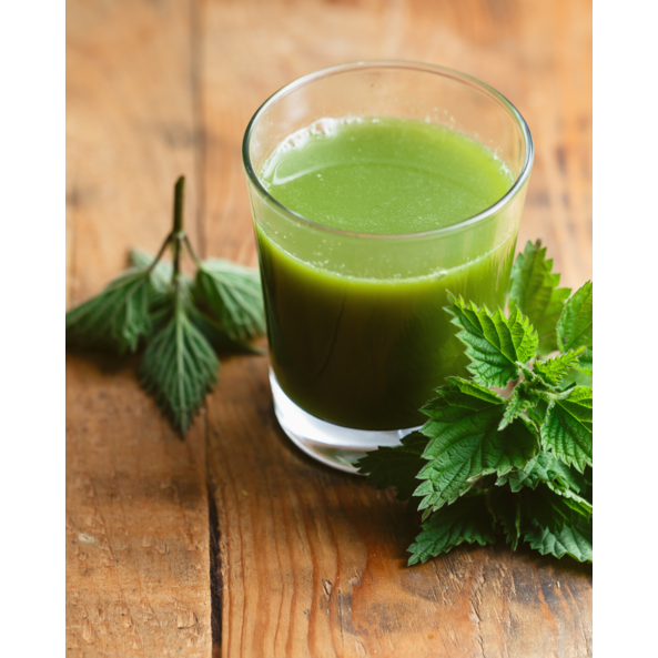 Kopřivové smoothie