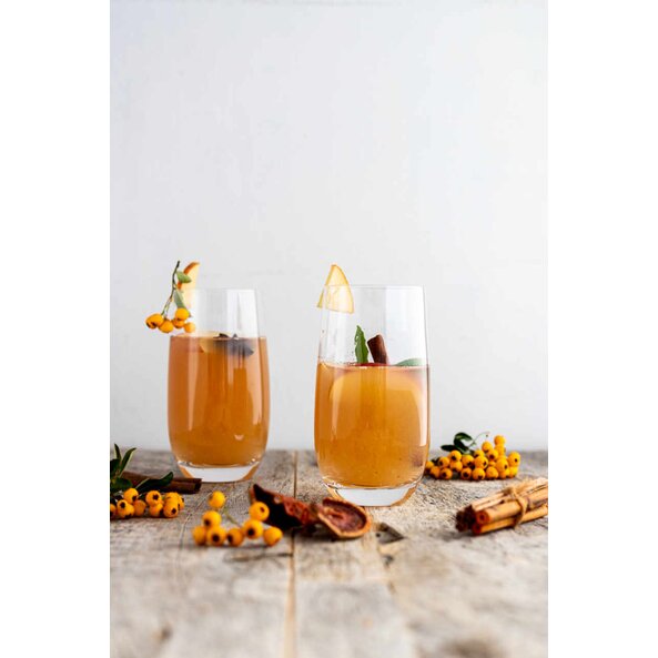 Zuckerfreier Apfel Punsch