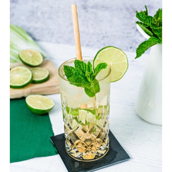 Virgin Mojito