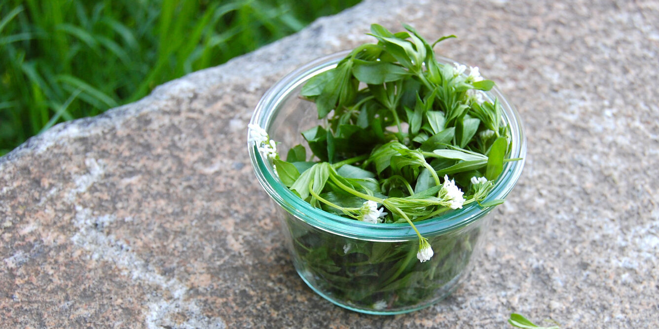 Walpurgisnacht: Hexen, Kräuter und Tanz - SONNENTOR.com